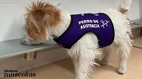 Foto de Los perros de alerta médica, una mejora en la calidad de vida para las personas con epilepsia