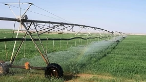 Foto de Acciona gestionará 1.700 hectáreas de regadío en Pina de Ebro y La Almolda