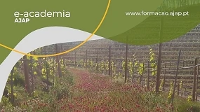 Foto de Curso para t�cnicos de �Modo de Produ��o Integrada em Vinha�