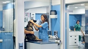Foto de El negocio de las clínicas veterinarias sigue al alza, superando en 2025 los 2.000 millones de euros