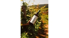 Foto de Lavradores de Feitoria lan�a Tr�s Bagos Sauvignon Blanc 2025 com imagem renovada
