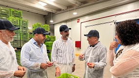 Foto de Los programas operativos, esenciales para la modernizaci�n y mejora de la competitividad del sector hortofrut�cola andaluz