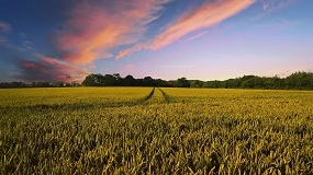 Foto de La facturación de las cooperativas agroalimentarias de Aragón superó los 1.000 millones en 2025
