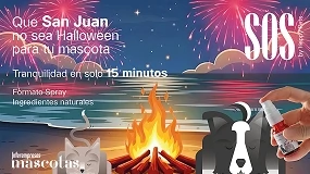 Foto de Miedo intenso, temblores, jadeo, taquicardias o intentos de huida: así es la noche de San Juan para las mascotas