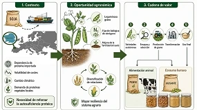 Foto de Variedades tradicionales de guisante para una producción proteica más resiliente