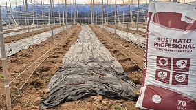 Nuevo sustrato para hoyos de plantaci�n de Gramoflor