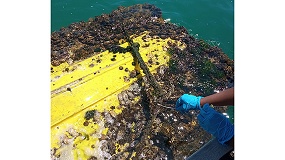 Foto de Un proyecto valenciano transforma residuos portuarios en soluciones sostenibles para reducir la contaminaci�n marina
