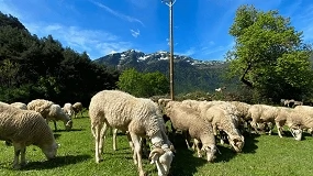 Foto de El proyecto Ovihuec.sost refuerza la prevención de incendios con apoyo de Endesa