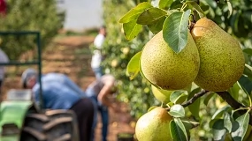 Foto de Parlamento Europeu aprova regras para refor�ar transpar�ncia alimentar e proteger produtores na cadeia de abastecimento
