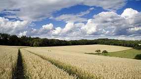 Foto de Bruselas aprueba las NTG y abre una nueva etapa en la agricultura europea