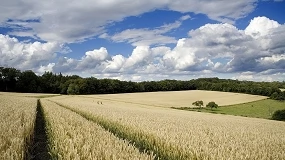 Foto de Bruselas aprueba las NTG y abre una nueva etapa en la agricultura europea