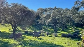 Foto de Ovipor cierra 2025 con 26,4 millones de facturación y un 12% de crecimiento anual