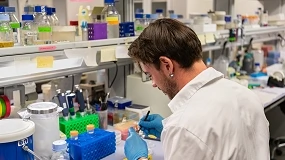 Foto de Una ‘llave molecular’ permite pausar la fotosíntesis para que las plantas acumulen sustancias nutritivas