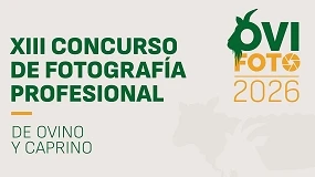 Foto de Arranca OVIFOTO 2026: creatividad, ganadería y más de 2.000 euros en premios