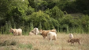Foto de Navarra inyecta casi 120 millones al campo y refuerza un sector que aporta el 6,5% del PIB