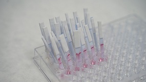 Foto de ITENE desarrolla un sistema capaz de detectar Salmonella y Listeria en alimentos en una hora