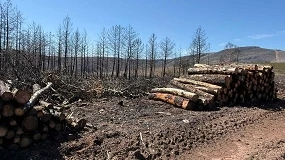 Foto de Galicia también regula el uso de maquinaria agrícola en verano