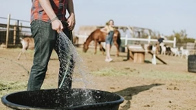 Foto de Mermas en producción de la ganadería por las altas temperaturas de las últimas semanas