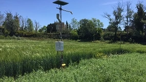 Foto de Análisis económico de alternativas al monocultivo de maíz (Zea mays) en regadíos del Valle del Ebro