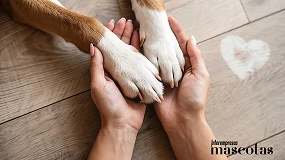 Foto de Kiwoko y Royal Canin convierten los “corazones” en alimento para apoyar a los animales que esperan una nueva oportunidad