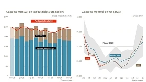 Foto de El consumo de combustibles de automoción cayó un 4,2% en mayo de 2026