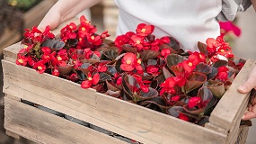 Foto de La exportaci�n espa�ola de flor y planta viva crece un 8,5% hasta abril y refuerza el saldo comercial del sector