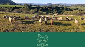 El GO Rumi-Care 360 busca prevenir y controlar la mamitis en ovino y caprino