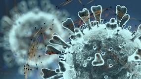Foto de Desarrollan m�todos m�s sensibles para detectar el virus de la gripe aviar en leche y granjas lecheras