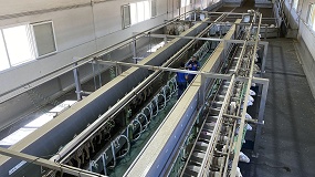 Espa�a pierde producci�n de leche de oveja mientras el mercado impulsa los precios