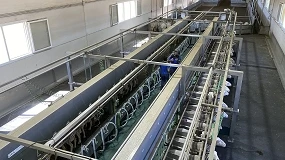 Foto de España pierde producción de leche de oveja mientras el mercado impulsa los precios