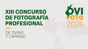 Foto de Abierto el plazo para participar en OVIFOTO 2026, el concurso que pone el foco en el ovino y el caprino