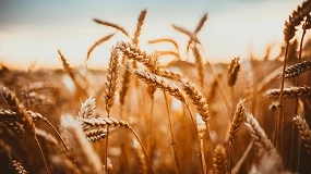 Foto de Mercados agr�colas da UE resistem � incerteza, mas fertilizantes continuam a pressionar produtores