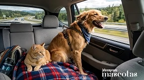 Foto de Veterinarios ofrecen las claves para viajar de forma segura y tranquila con animales de compañía este verano
