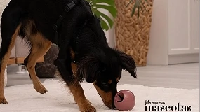 Foto de Fackelmann entra en el universo pet con su nueva línea para mascotas