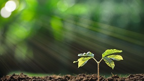 La plataforma CADI anticipa c�mo cambiar� hasta finales de siglo la capacidad del planeta para producir alimentos