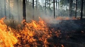 Foto de �rea ardida em Portugal ultrapassa os 30 mil hectares e recebe apoio europeu no combate aos inc�ndios