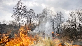 Foto de El sector primario atribuye el aumento del riesgo de incendios al abandono del campo