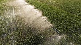 Foto de Ministro da Agricultura quer refor�ar armazenamento e disponibilidade de �gua