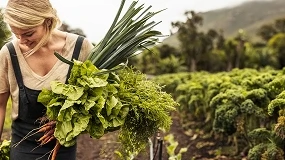 Foto de Comiss�o Europeia aprova metodologias para certificar agricultura de carbono