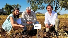 Foto de IMIDRA desarrolla una nueva variedad de garbanzo más resistente y nutritiva