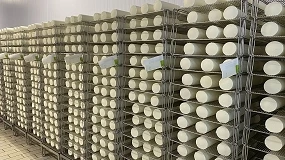 Foto de La industria alerta de los peligros en la caída de producción de la leche de oveja y de cabra