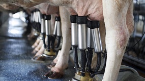 Se incorporan 16 nuevos toros gen�micos con prueba oficial a la evaluaci�n de Conafe