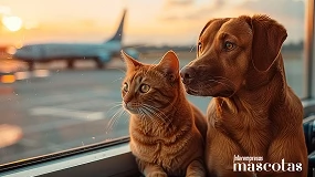 Foto de Viajar en tren y avión con animales de compañía: claves para un trayecto seguro, cómodo y tranquilo