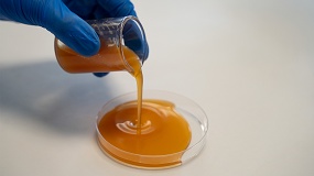 Foto de Del aguacate, el tomate y la uva a nuevos ingredientes para cosmética y detergencia