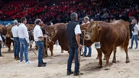 Foto de Sommet de l'Élevage convierte la genética animal en el gran protagonista de su programa