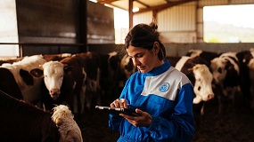 Provacuno lanza una web app para medir de forma gratuita la huella de carbono del sector