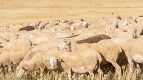 Foto de Medidas para garantizar el abastecimiento de agua a la ganadería extensiva de la Rioja