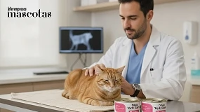 Foto de Dibaq Vet Care Renal Cat es un alimento completo monoproteico de pavo