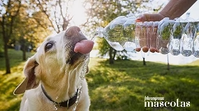 Foto de Cómo saber si tu perro o gato necesita beber más agua este verano