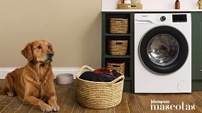 Foto de Compartir el hogar con un perro ya no implica convivir con sus pelos: Hotpoint adapta la innovación a una nueva realidad del hogar